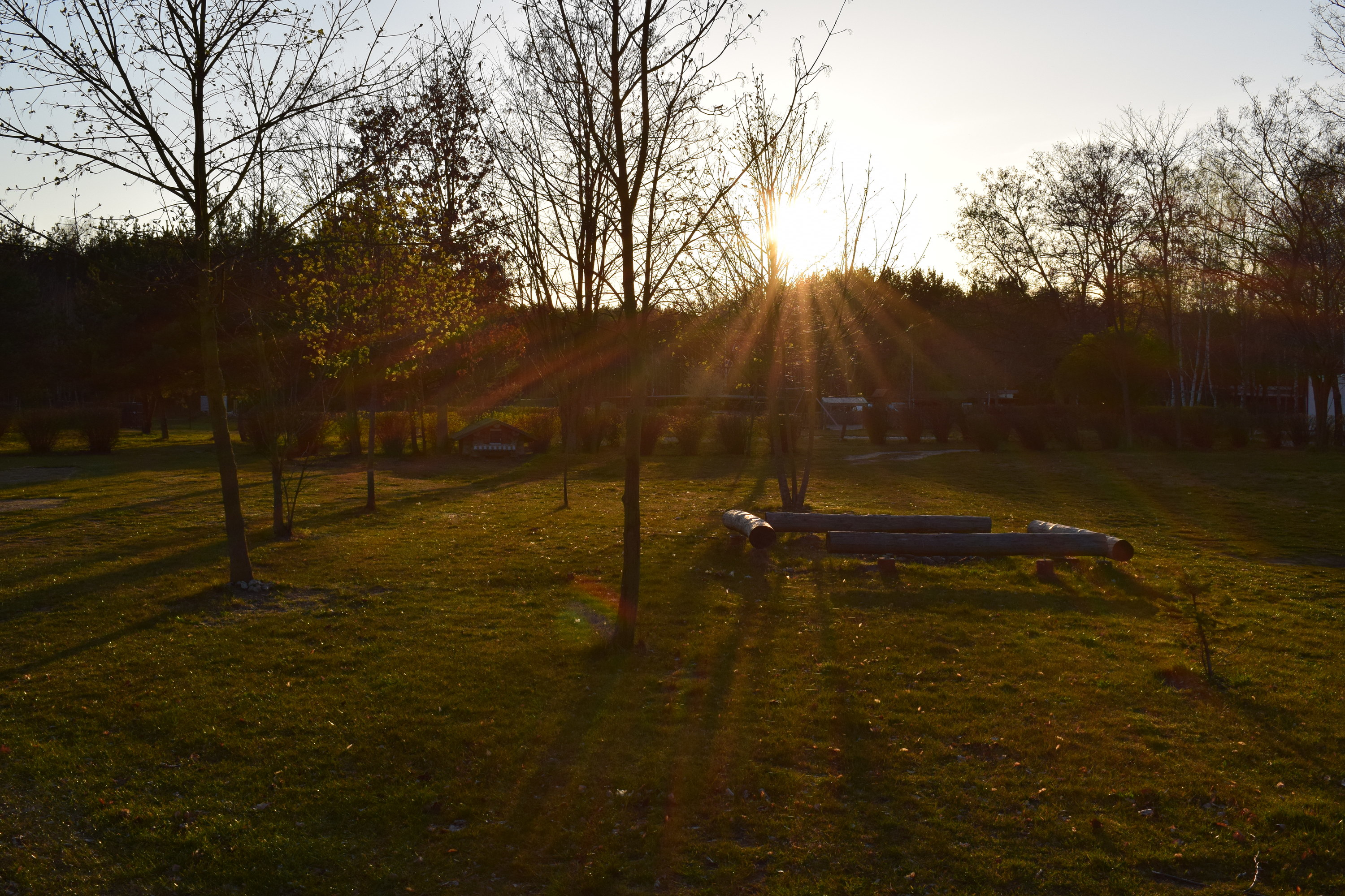 Sonnenuntergang Bild